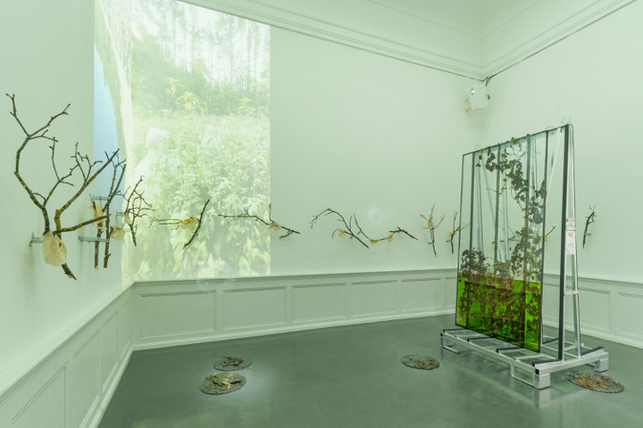 Jura Shust - NEOPHYTE II: Extraction of Apotropical, 2021, Badischer Kunstverein, Karlsruhe, 2021, Photos: Courtesy of the artist