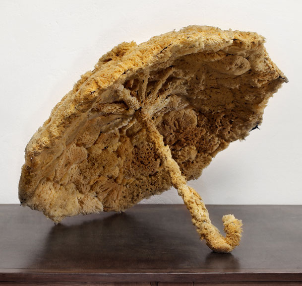 Wolfgang Paalen, <i>Nuage articule II</i>, assemblage of umbrella and natural sponge, 1927/40, private collection Vienna