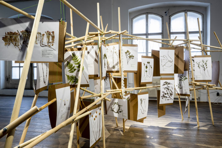 Lauri Linna <i>Green Blue Gold</i>, Installation, 2022 Ansicht der Ausstellung <i>Chewing the Tundra</i>, Kunsthalle Exnergasse, 2022 Foto: Wolfgang Thaler