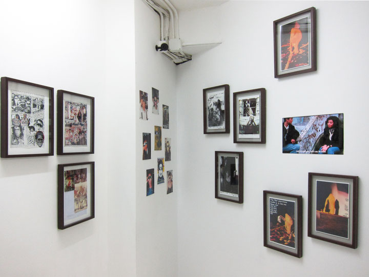View of the work of Frog King Kwok, as part of the exhibition "Taiping Tianguo - A History of Possible Ecounters", 2012