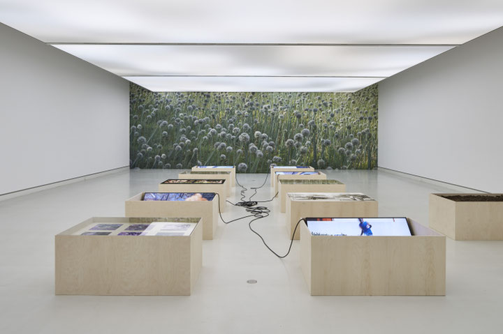 Uriel Orlow <i>Soil Affinities</i>, Installation, 2018 Installationsansicht, Kunsthalle Mainz  Foto: Norbert Miguletz, VG Bild-Kunst, Bonn 2019