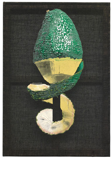 Maja Vukoje <i>Avocado</i>, 2015 Sammlung Familie Kadanka, Foto © Roland Krauss © Bildrecht, Wien