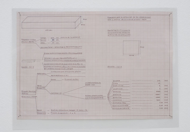 Teresa Burga, Informe sangre (Report on the Blood), detail from the “Self-Portrait. Structure. Report. 9.6.72", Courtesy: Teresa Burga Archive